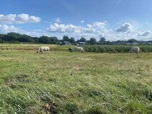 Luxury Retreat in Als - By Traum Ferienwohnungen