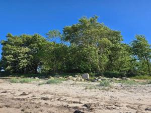 Luxury Retreat in Als - By Traum Ferienwohnungen