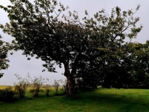 10 person holiday home in Løkken-By Traum