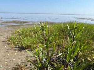 11 person holiday home in Ørsted-By Traum