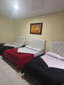 La gran mansión en el centro de Pereira