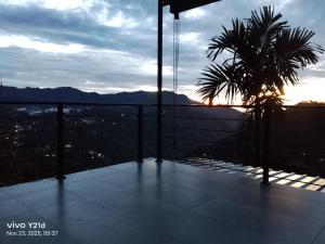 Aloft View