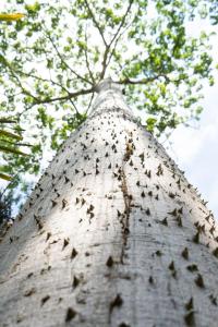 Sanctuary - 1 bedroom Main House