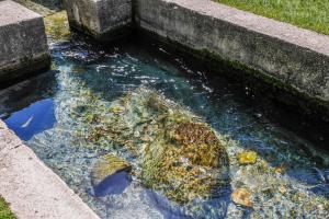 Creekside Fun Dog-friendly, Games & Fire Pit