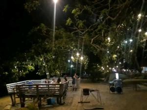 Coconut Beach Bar and Cottages