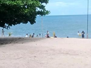 Coconut Beach Bar and Cottages
