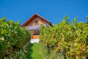 Holiday home in Trzisce - Kranjska (Krain) 54981