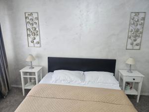 Nicolae Romanescu Park