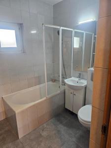 Nicolae Romanescu Park