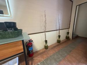 1 Centrico y lujoso apartamento en Atlíxco