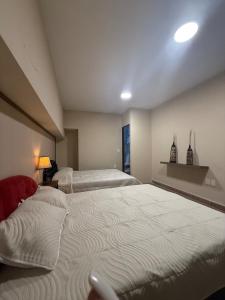 1 Centrico y lujoso apartamento en Atlíxco