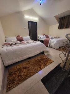 Choudhary villa 3bhk