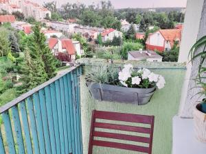 Zero zgiełku, blisko plaży i Starówki - z widokiem na panoramę miasta