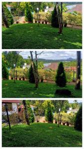 Karapuzha Water Scapes Wayanad