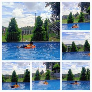 Karapuzha Water Scapes Wayanad