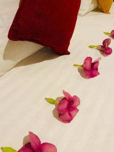 Yala Homestay by Set