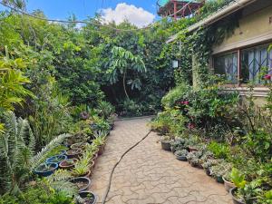 Rose Petals Apartments