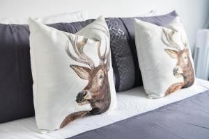 City Centre Apartment