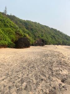 Common ground by bunkd hostels