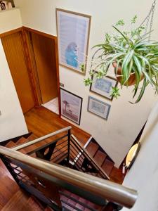 Quirky and Colourful on Foodies Favourite Lygon St