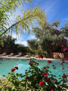 Ecolodge Dar bouhouta