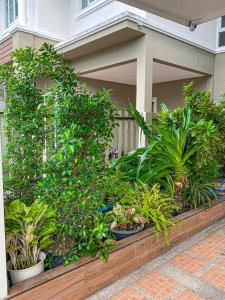 Luxury Private Cozy warm house