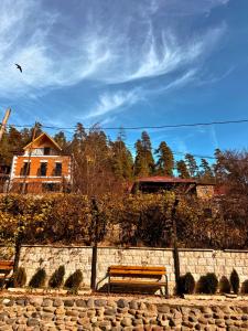 Studio Likani Resident