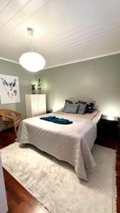 Nordic Villa with private sledding hill and fire pit