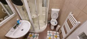 Untold Arena Apartment Cluj