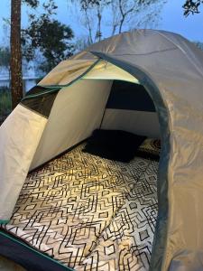 Golden Grove Treetops