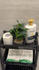 استديو حي السليمانية