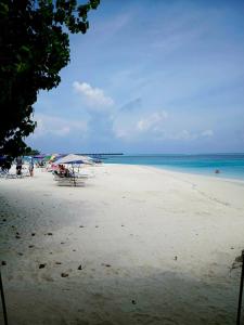 Tripo Travel