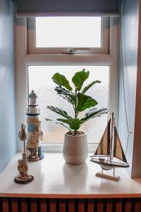 Pheasant View at Number 35