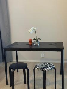 Koda Taiga South - parking & view