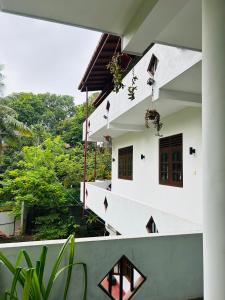 Villa Hikka Blue Bird