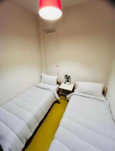 Parthenope Plebiscito