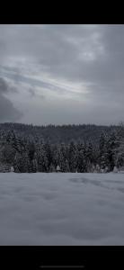 Apartament Zielone Wzgórze