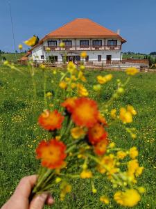 Pensiunea Roua Brazilor Mărișel