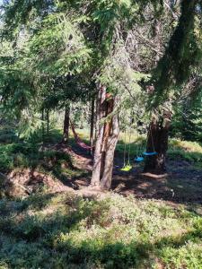 Pensiunea Roua Brazilor Mărișel