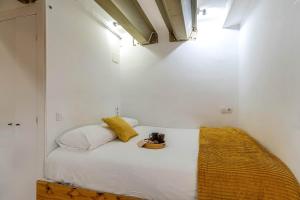 2537 - AB Sant Antoni Studio