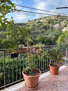 Tirreno- Finestra sul Mare