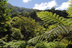Loft - Villa Casa do mar