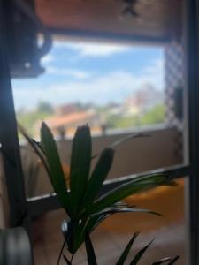 Apartamento pé no mar, 2 quartos 3 camas e sofa cama