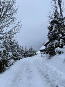 Tam Gdzie Rosną Poziomki