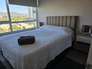 Departamento Céntrico con Aire Acondicionado 2 o 3 dorm con Parckin Piscina y Wifi