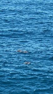 Beach Front Summer at Bondi Beach