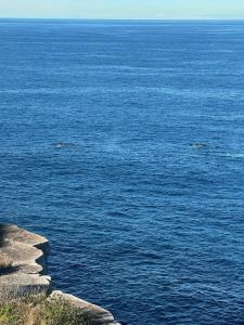 Beach Front Summer at Bondi Beach