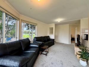 Private Farmhouse & Paddock Available