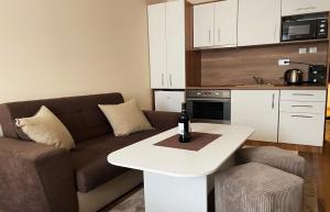 Studio Harmony, Pamporovo