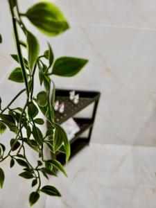 جناح ديارك - Diyarak furnished Suite